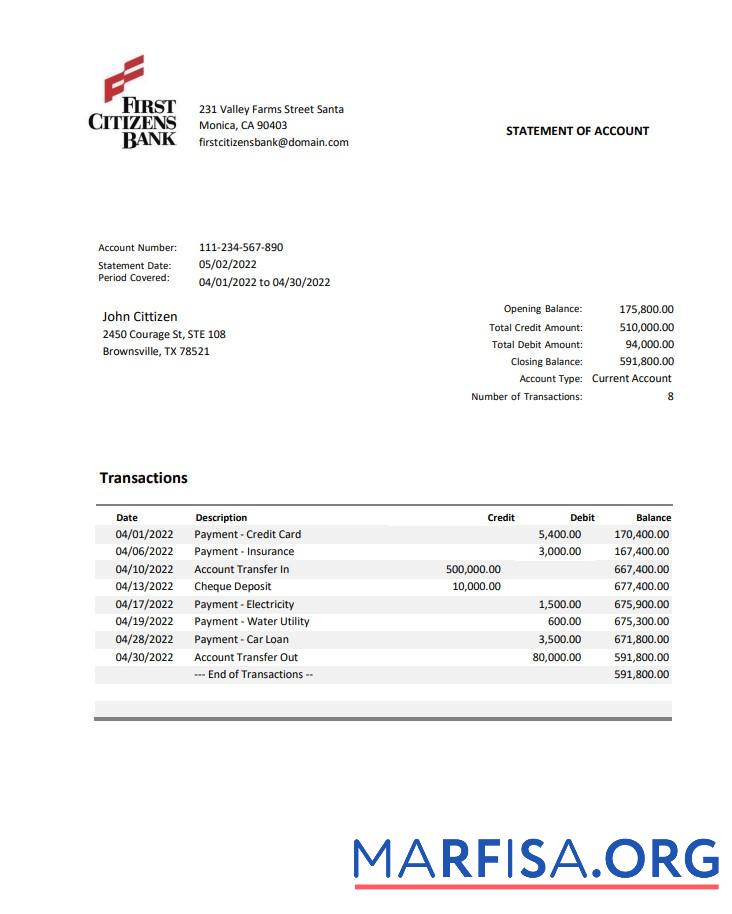 Realistic USA First Citizens bank statement word real example